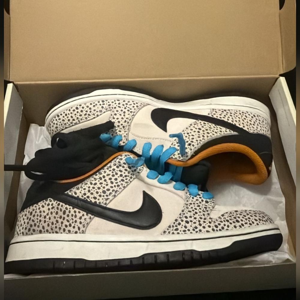 Nike SB Dunk Sneakers